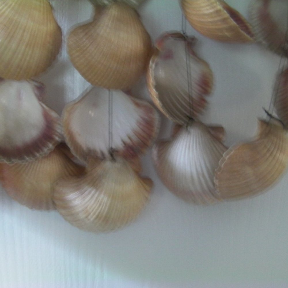 Crafted Shell Wind Chime - Picture 3 of 5